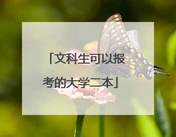 文科生可以报考的大学二本