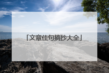 文章佳句摘抄大全