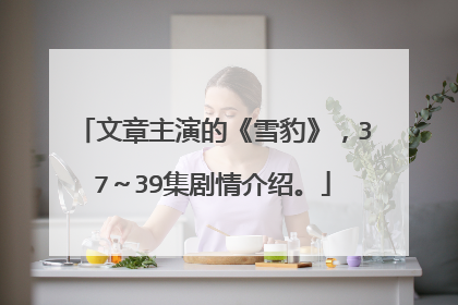 文章主演的《雪豹》,37~39集剧情介绍。