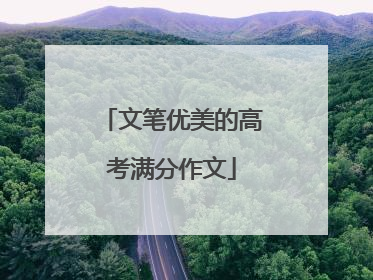 文笔优美的高考满分作文