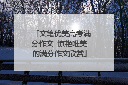 文笔优美高考满分作文 惊艳唯美的满分作文欣赏