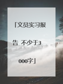 文员实习报告 不少于3000字