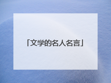文学的名人名言