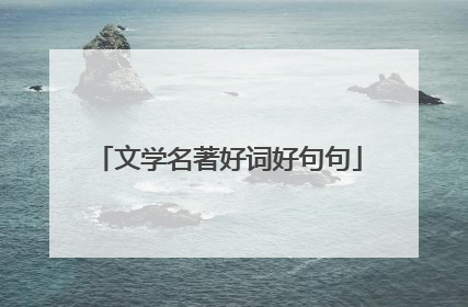 文学名著好词好句句