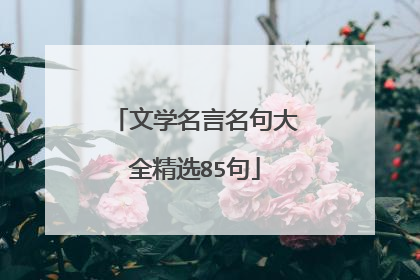 文学名言名句大全精选85句