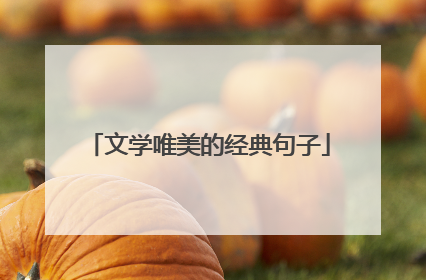 文学唯美的经典句子