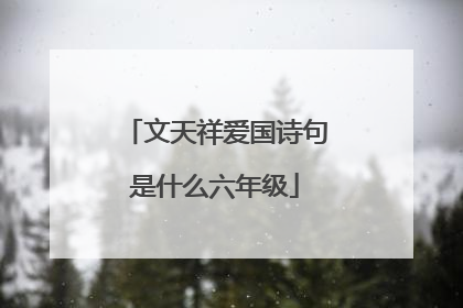 文天祥爱国诗句是什么六年级