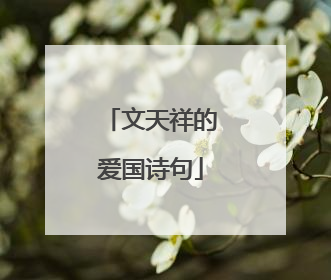 文天祥的爱国诗句