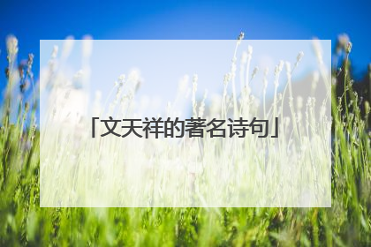 文天祥的著名诗句