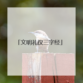 文明礼仪三字经
