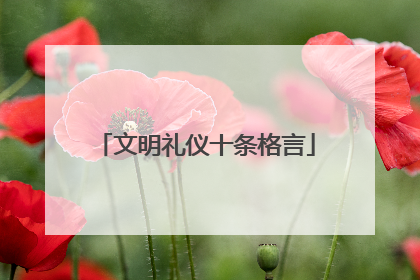 文明礼仪十条格言