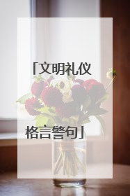 文明礼仪格言警句