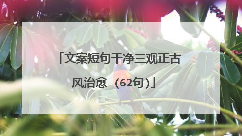 文案短句干净三观正古风治愈 (62句)