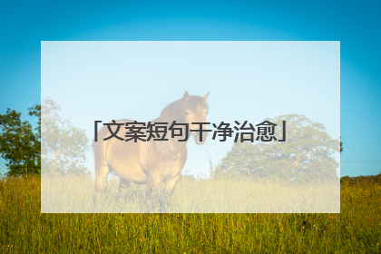 文案短句干净治愈