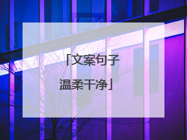 文案句子温柔干净