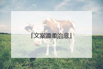 文案温柔治愈