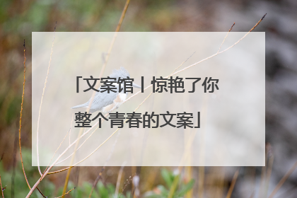 文案馆丨惊艳了你整个青春的文案