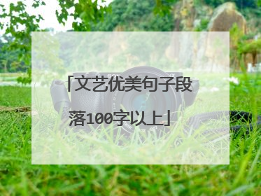 文艺优美句子段落100字以上