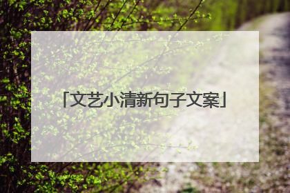 文艺小清新句子文案