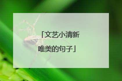 文艺小清新唯美的句子