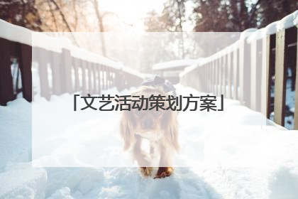 文艺活动策划方案
