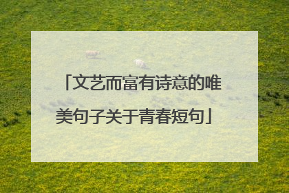 文艺而富有诗意的唯美句子关于青春短句