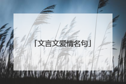 文言文爱情名句