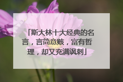 斯大林十大经典的名言，言简意赅，富有哲理，却又充满讽刺
