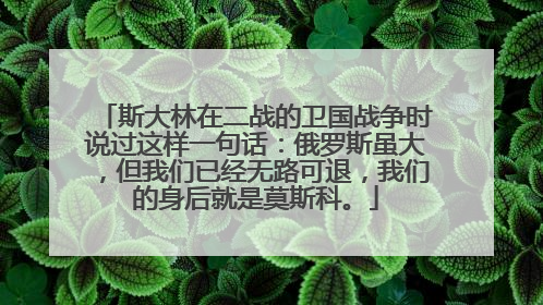 斯大林在二战的卫国战争时说过这样一句话：俄罗斯虽大，但我们已经无路可退，我们的身后就是莫斯科。