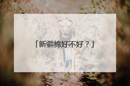 新疆棉好不好？