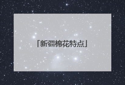新疆棉花特点