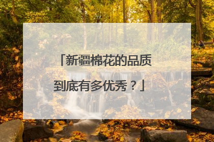 新疆棉花的品质到底有多优秀？