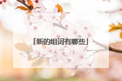 新的组词有哪些