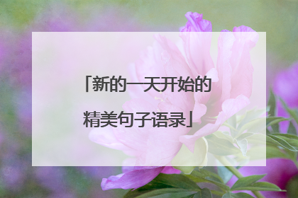新的一天开始的精美句子语录