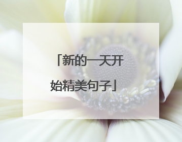 新的一天开始精美句子