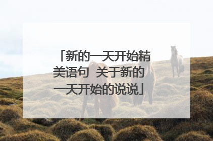 新的一天开始精美语句 关于新的一天开始的说说