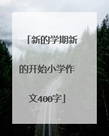 新的学期新的开始小学作文400字