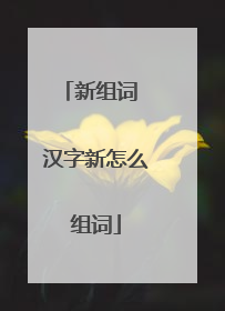 新组词 汉字新怎么组词
