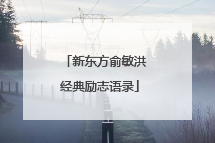 新东方俞敏洪经典励志语录