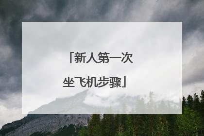 新人第一次坐飞机步骤