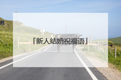 新人结婚祝福语