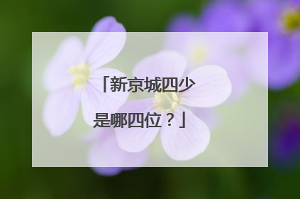 新京城四少是哪四位？