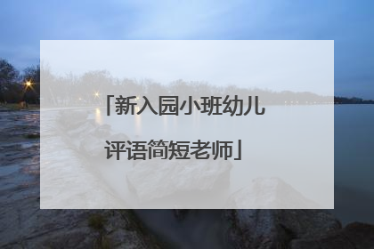 新入园小班幼儿评语简短老师