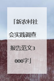 新农村社会实践调查报告范文3000字