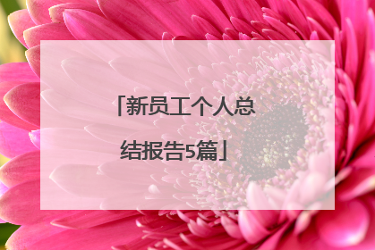 新员工个人总结报告5篇