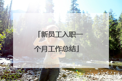 新员工入职一个月工作总结