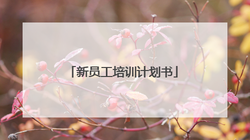 新员工培训计划书