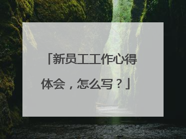 新员工工作心得体会,怎么写?