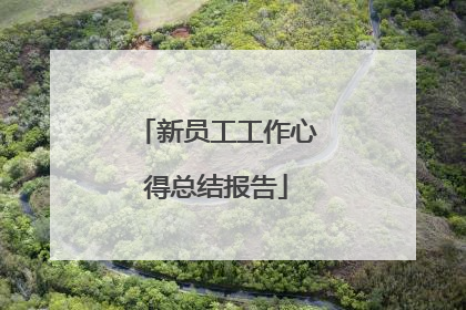 新员工工作心得总结报告