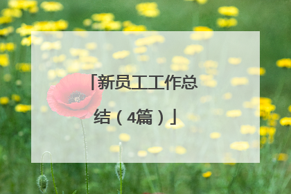 新员工工作总结(4篇)